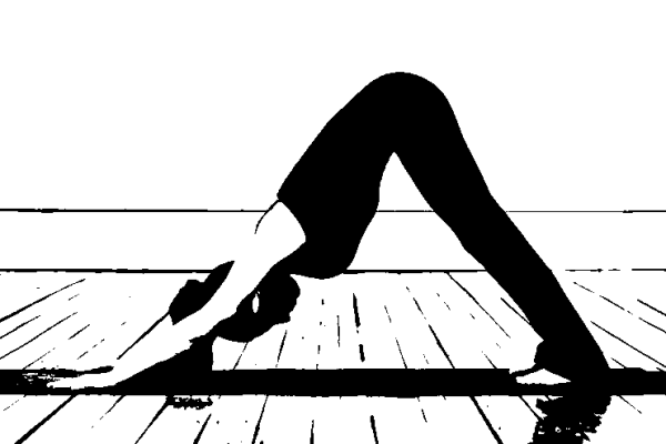 Yoga Perro Boca Abajo